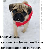 "dear 2021" - Holiday Cards in Noir by Tanya Lee of Frooted Design - Detail