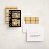 "Sideways" - Holiday Cards in Midnight by Lindsay Megahed - Assembled