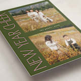 "Sideways" - Holiday Cards in Fern by Lindsay Megahed - Detail