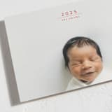 "just new" - Holiday Cards in Holly Berry by Mango Ink - Detail