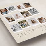 "Snapshots" - Holiday Cards in Pudding by Creo Study - Detail