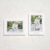 "hand drawn scallop" - Holiday Cards in Olive by Sara Hicks Malone - Photo Orientation Options