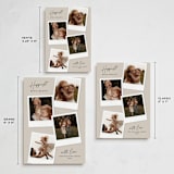 "Instant Elegance" - Holiday Cards in Dune by Kerry Doyle - Formats Available