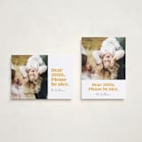 "Pretty Please" - Holiday Cards in Snow by Robert and Stella - Photo Orientation Options