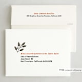 "Come for the Boos" - Party Invitations in Fudge by Renee Christensen - FREE Recipient Addressing