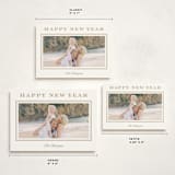"Resort style" - Holiday Cards in Caramel by Stacey Meacham - Formats Available