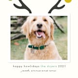 "Happy Howlidays" - Holiday Cards in Frost by Lisa Cersovsky - Detail