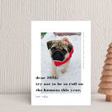 "dear 2021" - Holiday Cards in Noir by Tanya Lee of Frooted Design - Front