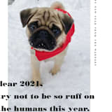 "dear 2021" - Holiday Cards in Noir by Tanya Lee of Frooted Design - Detail