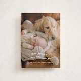 "very merry little Christmas" - Holiday Cards in Snowfall by Leah Ragain - Front