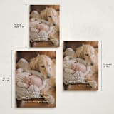 "very merry little Christmas" - Holiday Cards in Snowfall by Leah Ragain - Formats Available