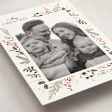 "Always Merry" - Holiday Cards in Candy Cane by Susan Moyal - Detail
