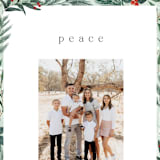 "Frosty" - Holiday Cards in Mint by Elly - Detail