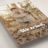 "We tried." - Holiday Cards in Snowy Night by Itsy Belle Studio - Detail