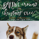 "Barking Fun" - Holiday Cards in Evergreen by Stephanie Given - Detail