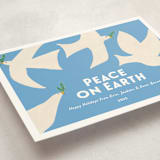 "California Doves" - Holiday Cards in Sky by Erika Firm - Detail