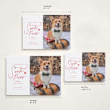 "Here Comes Santa Paws" - Holiday Cards in Cherry by Everett Paper Goods - Formats Available
