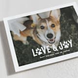 "Puppy Love and Joy" - Holiday Cards in Snow by Hooray Creative - Detail