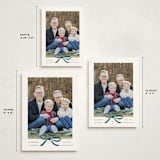 "Crimson Bow" - Holiday Cards in Blue Velvet by Olivia Kanaley Inman - Formats Available