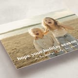 "Sleigh" - Holiday Cards in Snowfall by Megan Davis - Detail