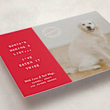 "NAUGHTY HOLIDAY DOG" - Holiday Cards in Holly by The Social Type - Detail
