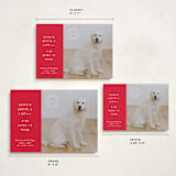 "NAUGHTY HOLIDAY DOG" - Holiday Cards in Holly by The Social Type - Formats Available