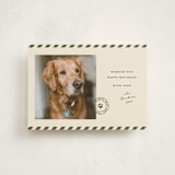 "Mostly Good" - Holiday Cards in Forest by Roxy Cervantes - Front