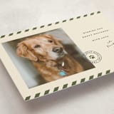 "Mostly Good" - Holiday Cards in Forest by Roxy Cervantes - Detail