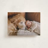 "very merry little Christmas" - Holiday Cards in Snowfall by Leah Ragain - Front