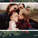 "Corner Cascade" - Holiday Cards in Evergreen by Jessica Williams - Detail