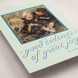 "cotillion" - Holiday Cards in Mint by Megan Davis - Detail