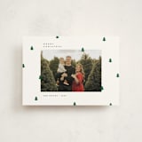 "Scattered Trees" - Holiday Cards in Cotton by Michelle Taylor - Front