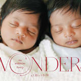 "Full of Wonders" - Holiday Cards in Cardinal by Monika Torun - Detail