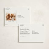 "Snow Globe" - Holiday Cards in Spearmint by Lauren Jinhee - Back of Card Options