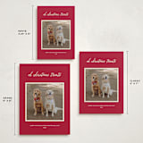 "Christmas Treats" - Holiday Cards in Red Chew Toy by Sarah Hawkins Designs - Formats Available