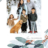 "Wintery Eucalyptus" - Holiday Cards in Snow by Angel Walker - Detail