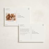 "Lafayette" - Holiday Cards in Sage by Melanie Kosuge - Back of Card Options