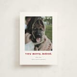 "Indeed" - Holiday Cards in Peppermint by Kristen Knechtel - Front