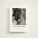 "Indeed" - Holiday Cards in Peppermint by Kristen Knechtel - Front