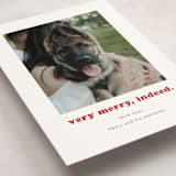 "Indeed" - Holiday Cards in Peppermint by Kristen Knechtel - Detail
