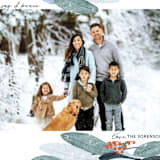 "Wintery Eucalyptus" - Holiday Cards in Snow by Angel Walker - Detail