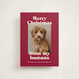 "Happy Howlidays" - Holiday Cards in Pomegranate by Annie Clark - Front