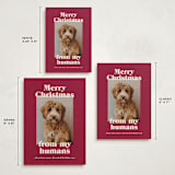 "Happy Howlidays" - Holiday Cards in Pomegranate by Annie Clark - Formats Available