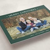 "Dotted" - Holiday Cards in Pine by Carolyn MacLaren - Detail