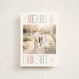 "Merry and Bright" - Holiday Cards in Snow by Pixel and Hank - Front