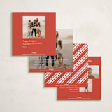 "Square Present" - Holiday Cards in Poinsettia by Brooke Chandler - Back of Card Options