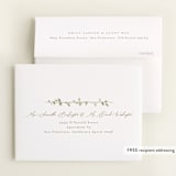 "Canopy" - Baby Shower Thank You Cards in Ivy by Everett Paper Goods - FREE Recipient Addressing