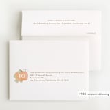 "Lil Pumpkin" - Baby Shower Thank You Cards in Blush by Creo Study - FREE Recipient Addressing