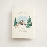 "Winter Wonderland" - Baby Shower Thank You Cards in Sky by Jennifer Wick - Front