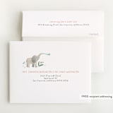 "Safari Adventure" - Baby Shower Thank You Cards in Cotton by Randi Cirelli - FREE Recipient Addressing